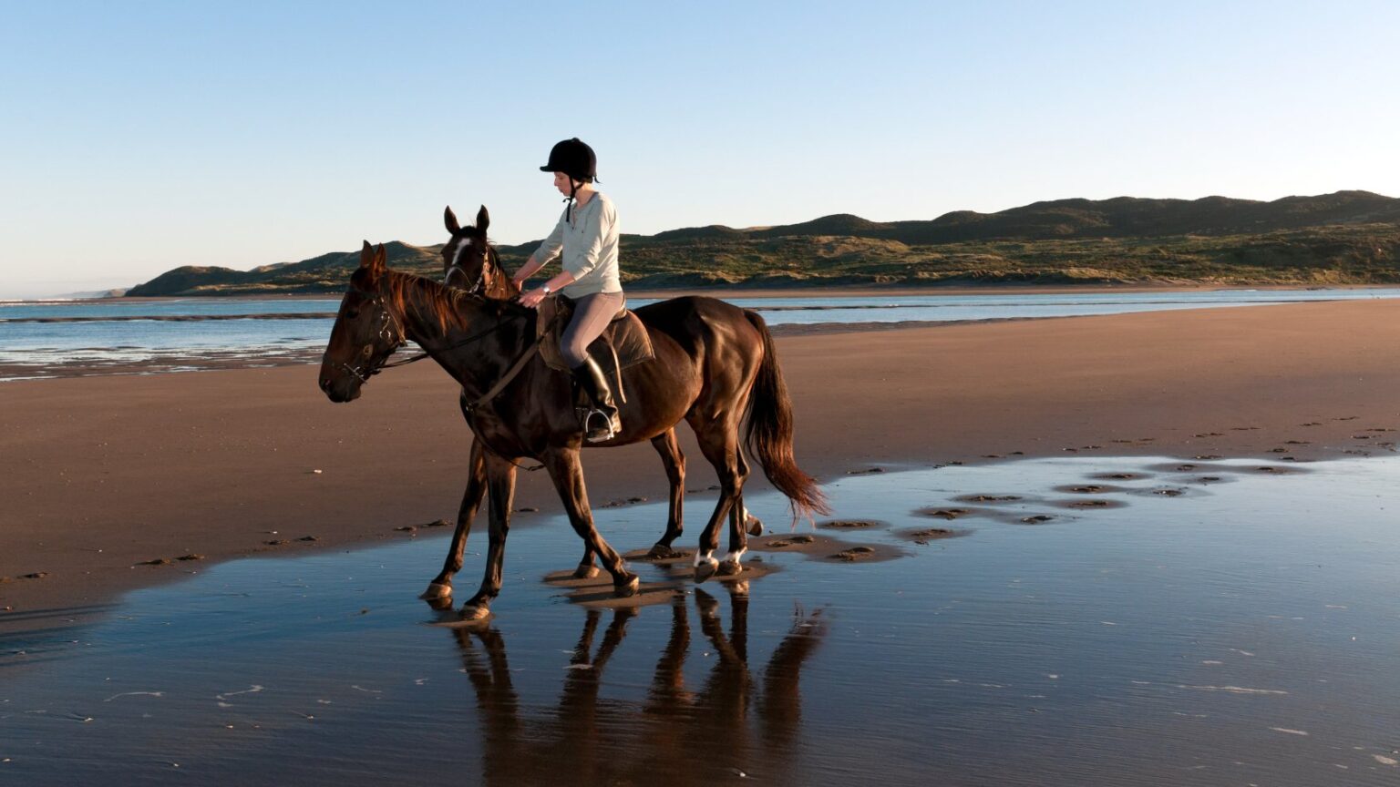 Home - Palomino Ranch Tours
