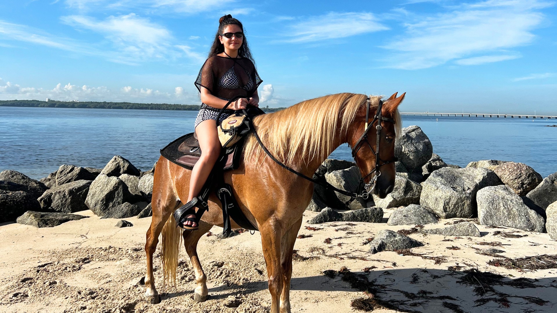 Home - Palomino Ranch Tours